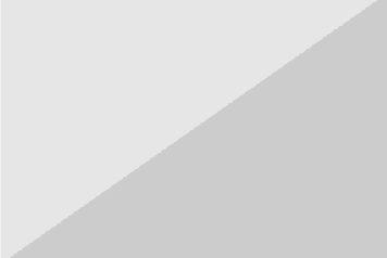 Nhất Đẳng Phẩm Vị